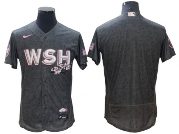 Washington Nationals Blank Gray 2022 City Connect Flex Base Jersey