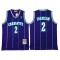 Charlotte Hornets #2 Larry Johnson Purple Hardwood Classic Jersey