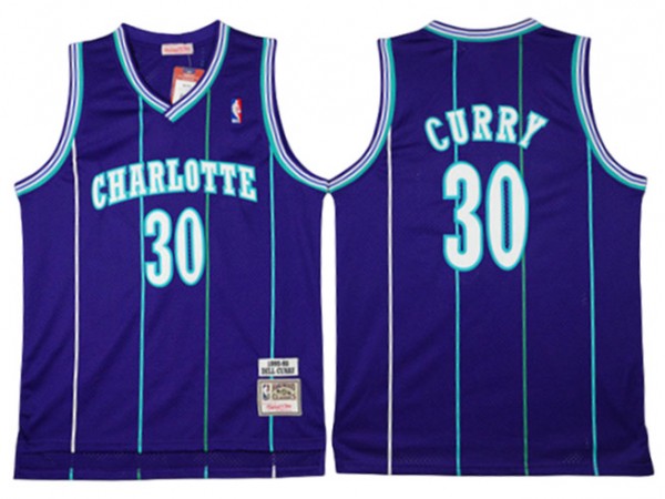 Charlotte Hornets #30 Dell Curry Purple Hardwood Classic Jersey