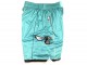 Charlotte Hornets Teal Basketball Shorts