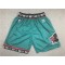 Vancouver Grizzlies Teal Hardwood Classic Basketball Shorts