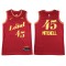 Cleveland Cavaliers #45 Donovan Mitchell Red 2023/24 City Edition Swingman Jersey 