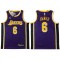 Los Angeles Lakers #6 Lebron James Purple Swingman Jersey - Embroider Edition