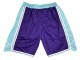 Los Angeles Lakers Purple 75th Anniversary City Edition Basketball Shorts