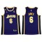 Los Angeles Lakers #6 Lebron James Purple Swingman Jerse