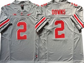 Ohio State Buckeyes #2 Caleb Downs Gray Vapor F.U.S.E. Limited Jersey