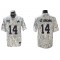 Detroit Lions #14 Amon-Ra St. Brown Arctic Camo 2024 Salute to Service Limited Jersey	