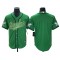 Philadelphia Eagles Blank Kelly Green Baseball Style Jersey