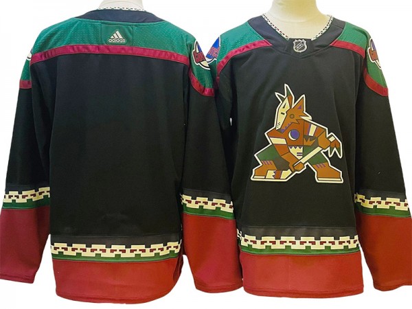 Arizona Coyotes Blank Black Alternate Jersey