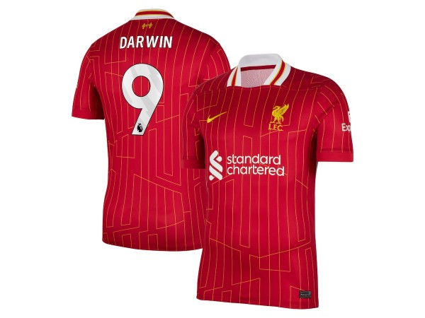 Liverpool #9 Darwin Home 2024/25 Soccer Jersey